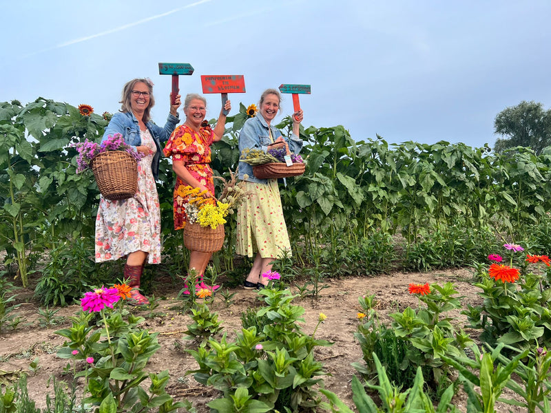 5e keer Pompoenen en Bloemen fair