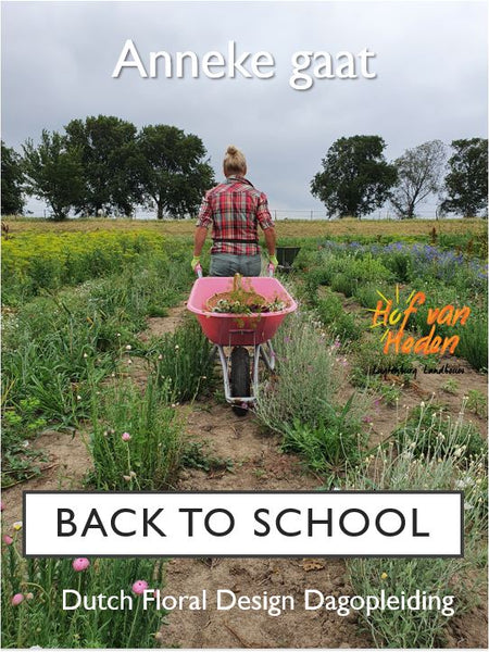 Anneke gaat back to school!