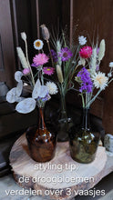 Afbeelding in Gallery-weergave laden, Droogbloemen post - 19,50 (inclusief verzendkosten)

