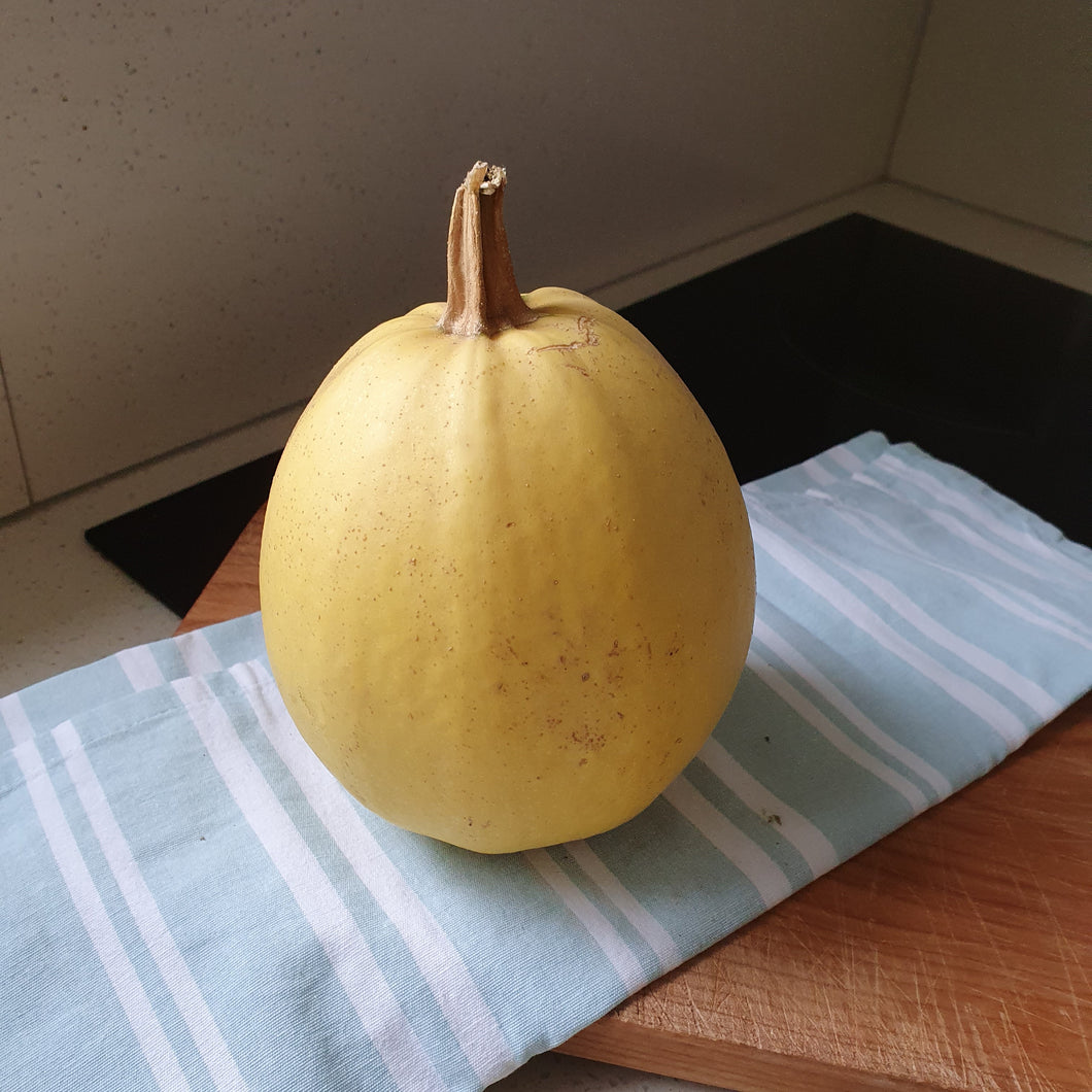 Spaghetti pompoen